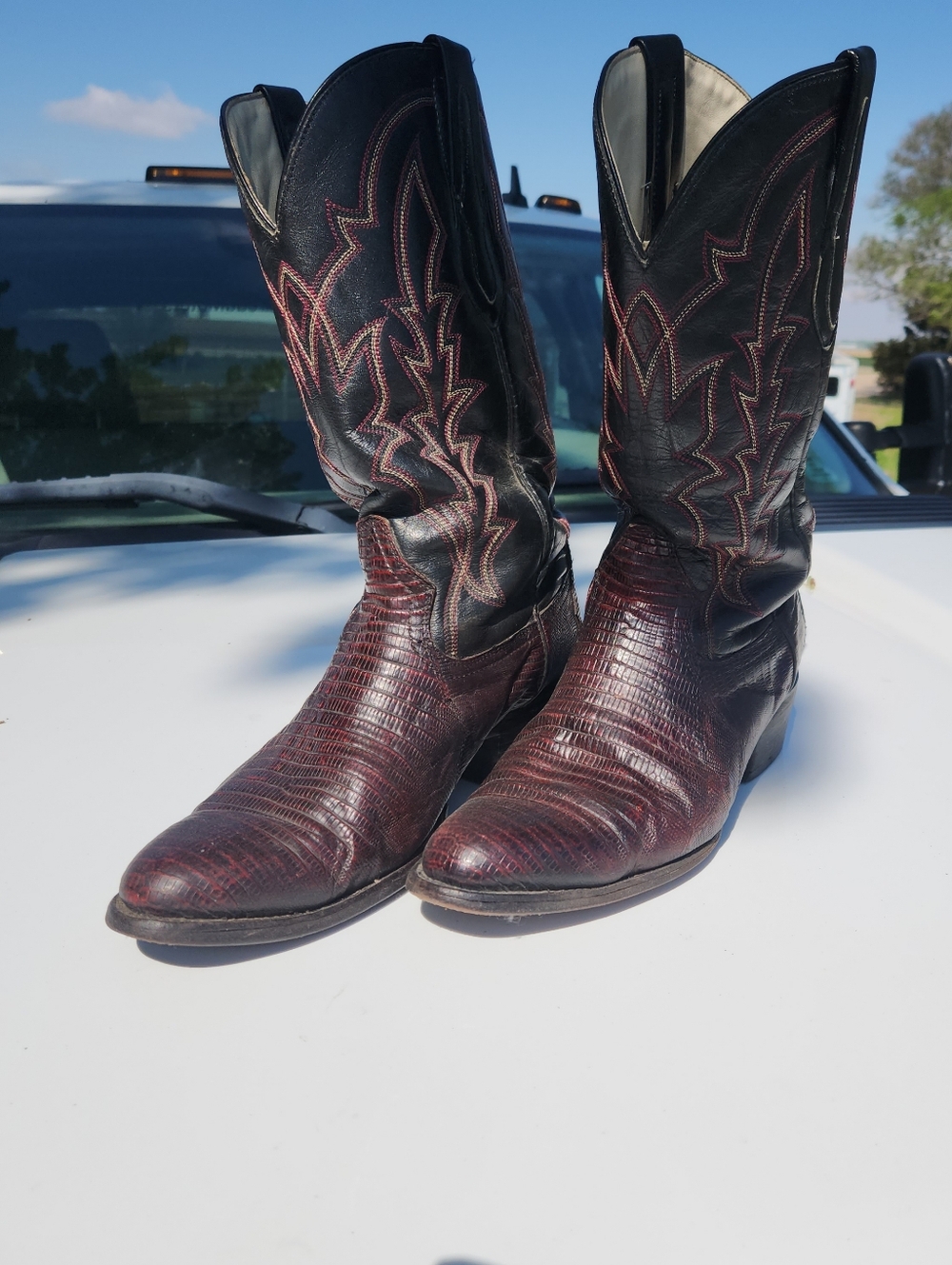 Exotic Lizard Men's J B Dillon Leather Cowboy Western Boots Size 10 EE